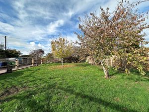 Front garden- click for photo gallery